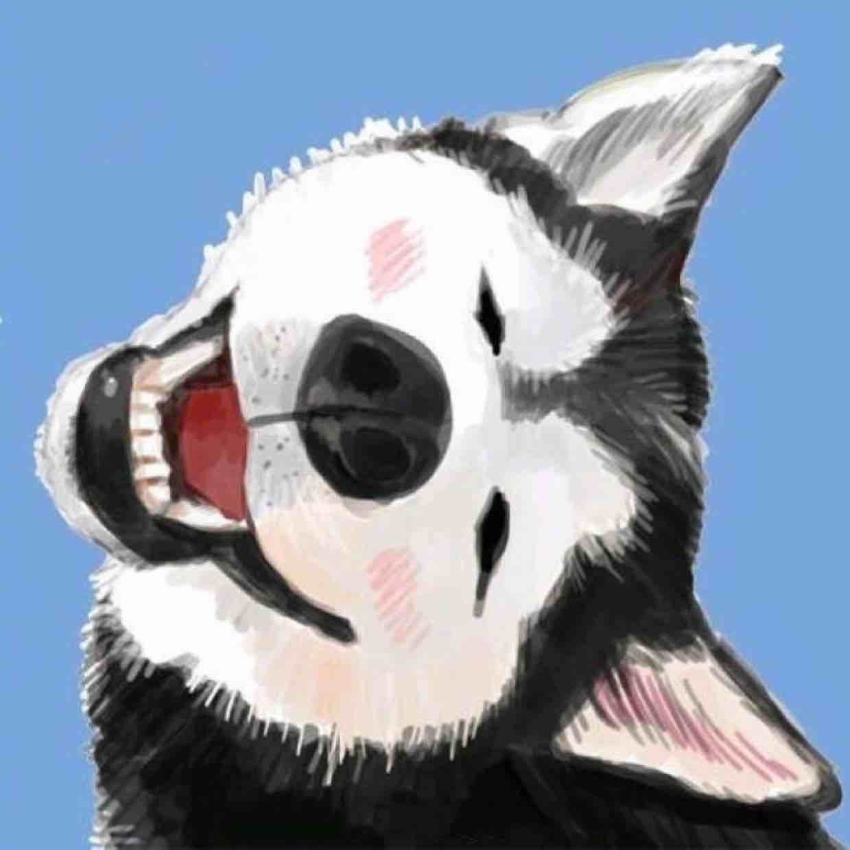 芋头不是哈士奇
