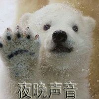 夜晚声音