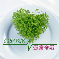 情感心理解答FM