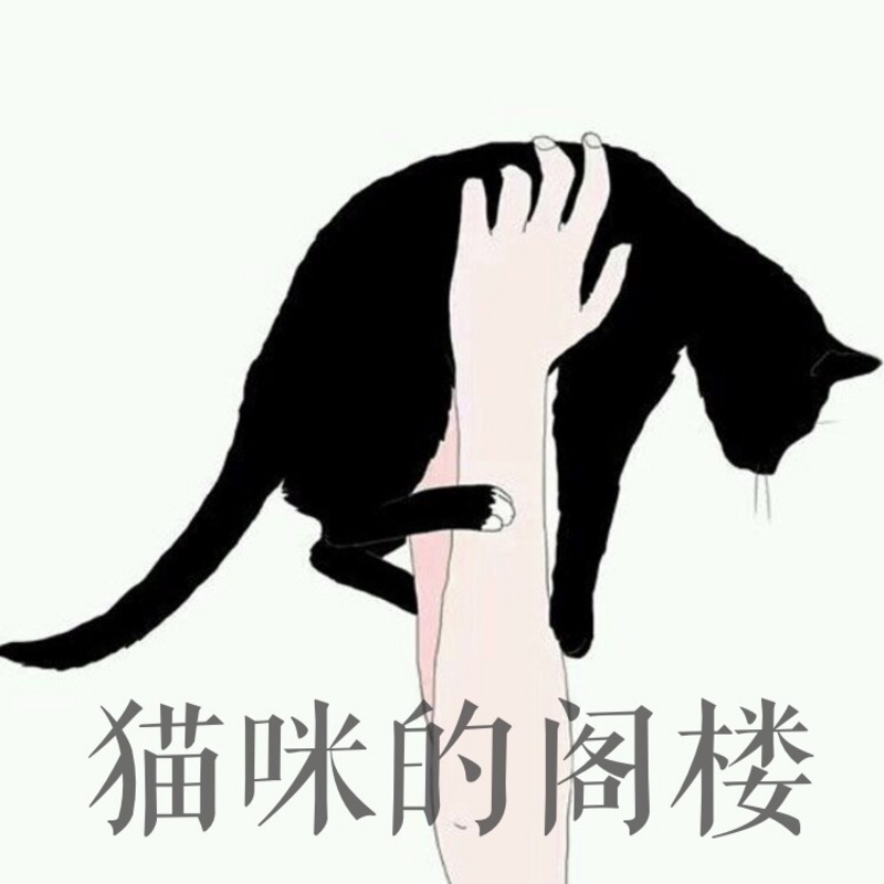 猫咪的阁楼|小喵工程师的成长日记