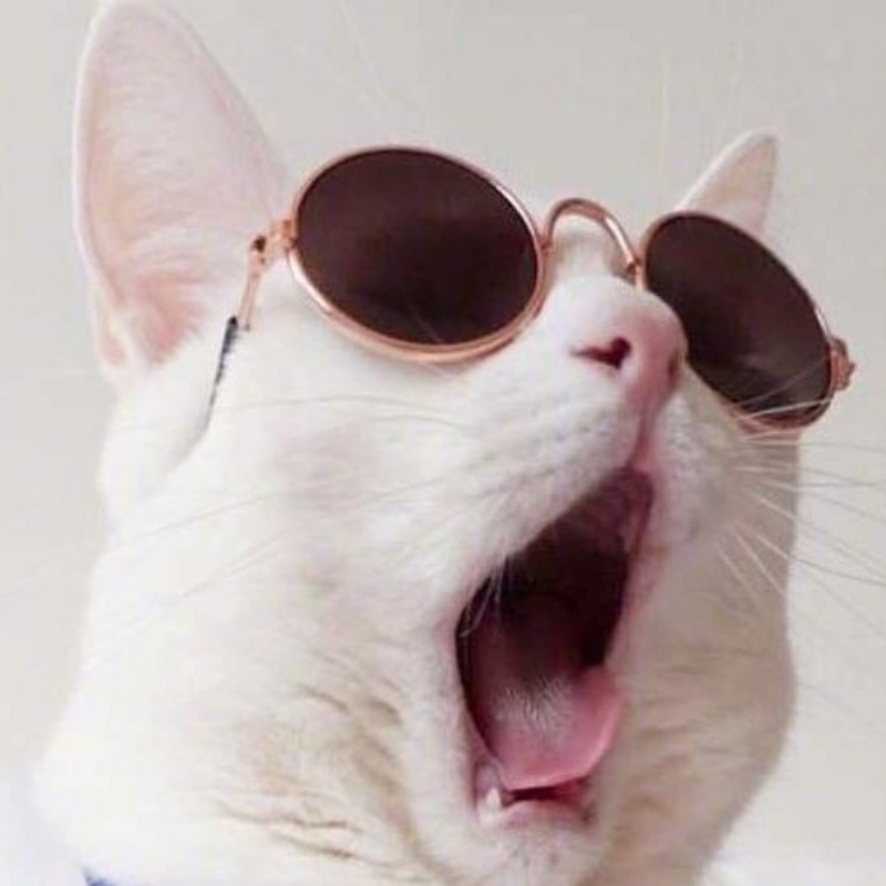 你是人间的四月天啊