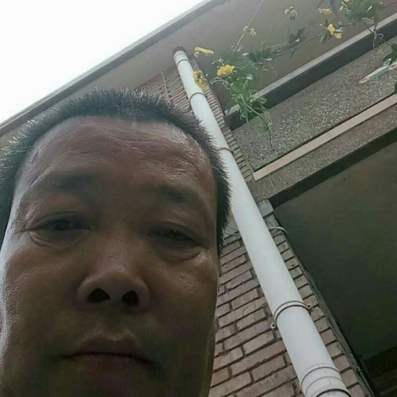 天天囗福