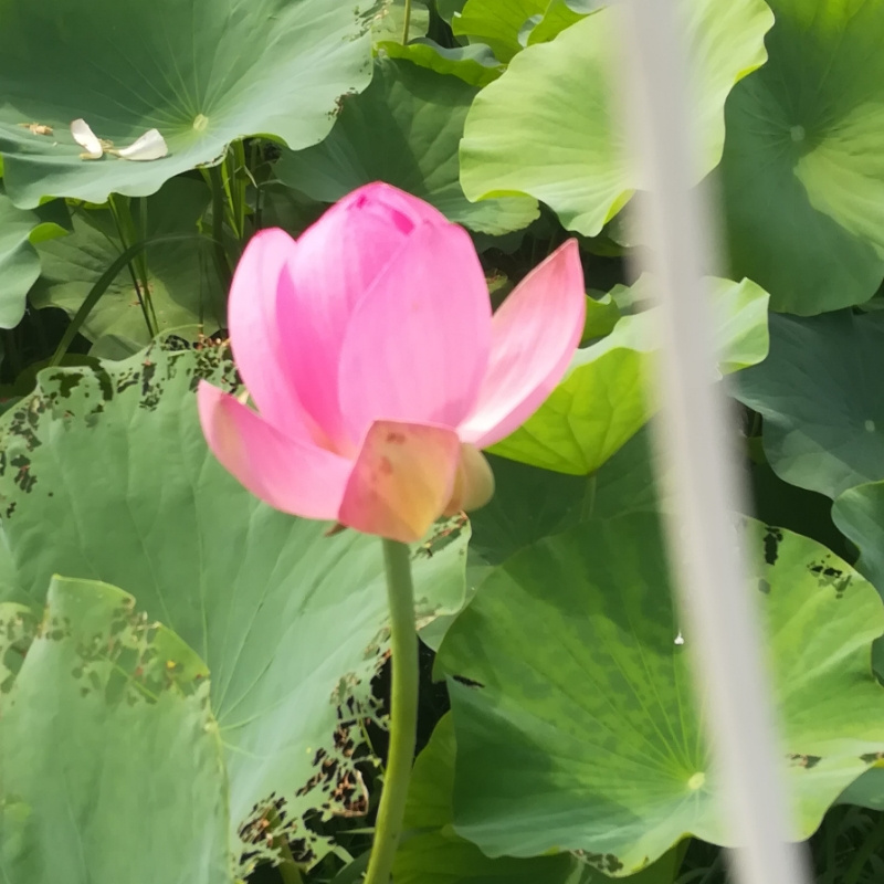我要梦醒