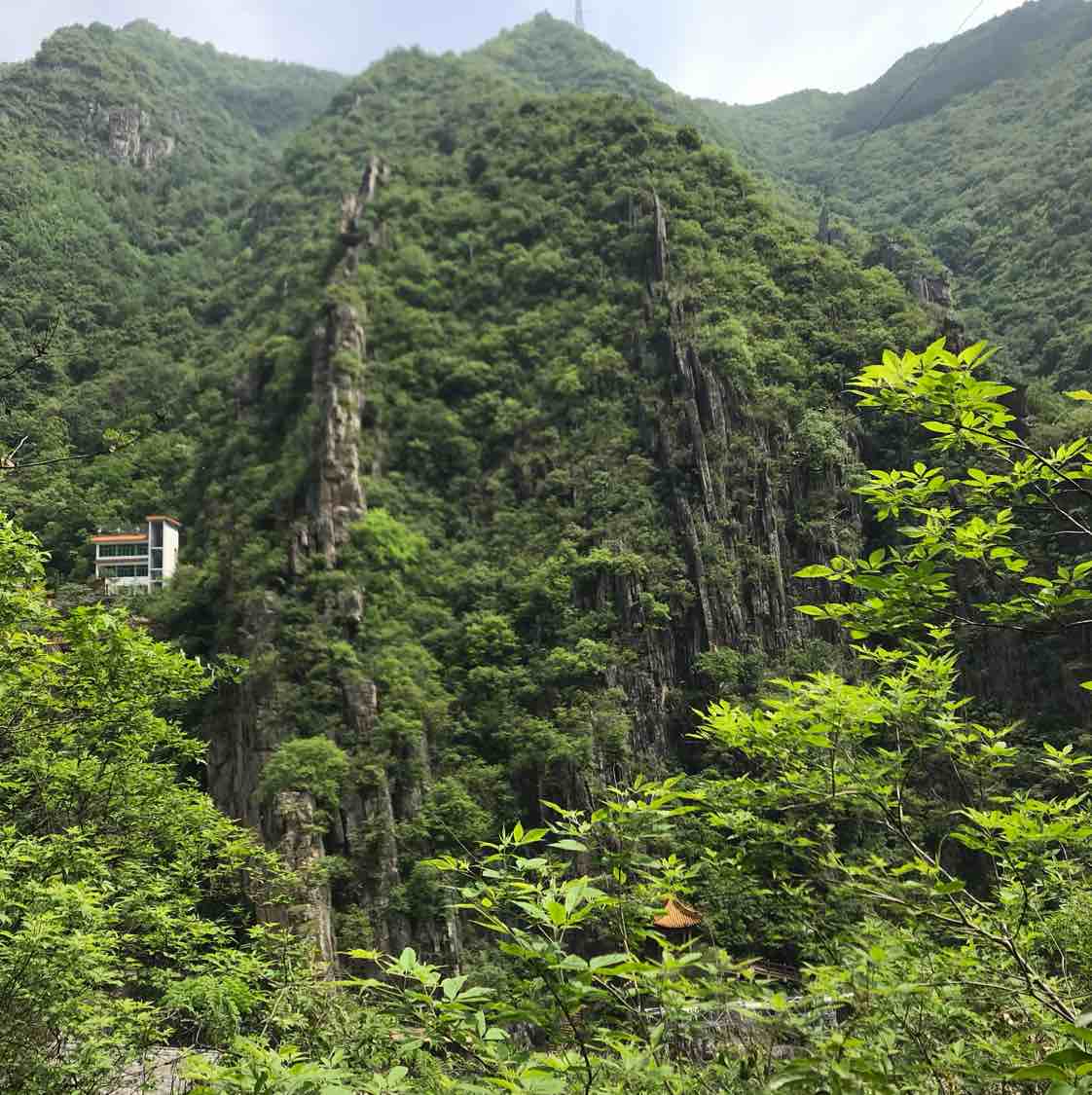 黄土高原的黄土