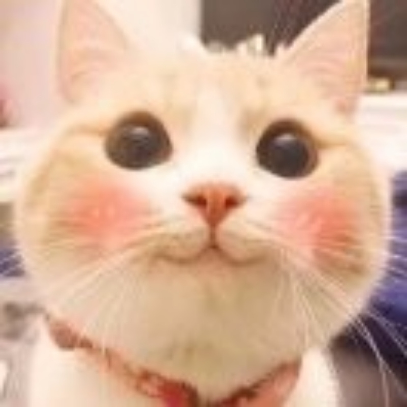 懒得看书的喵喵