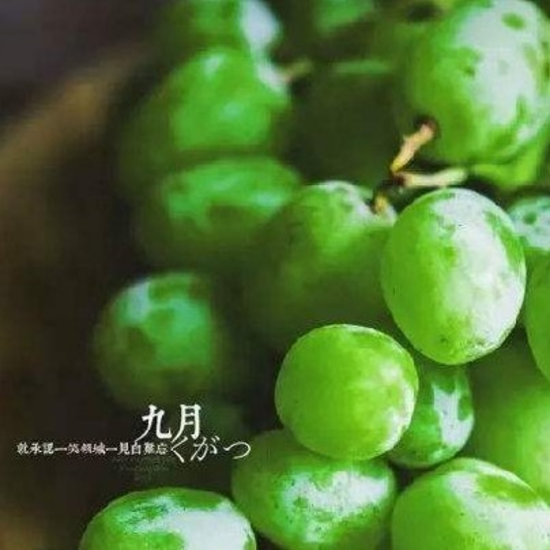 州 官