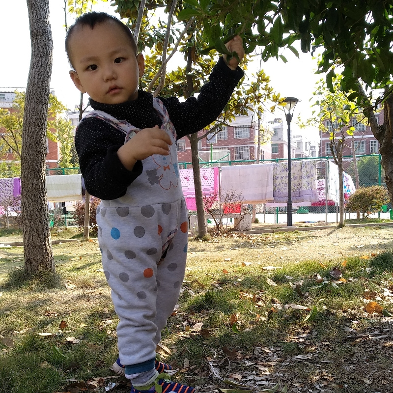 小锋