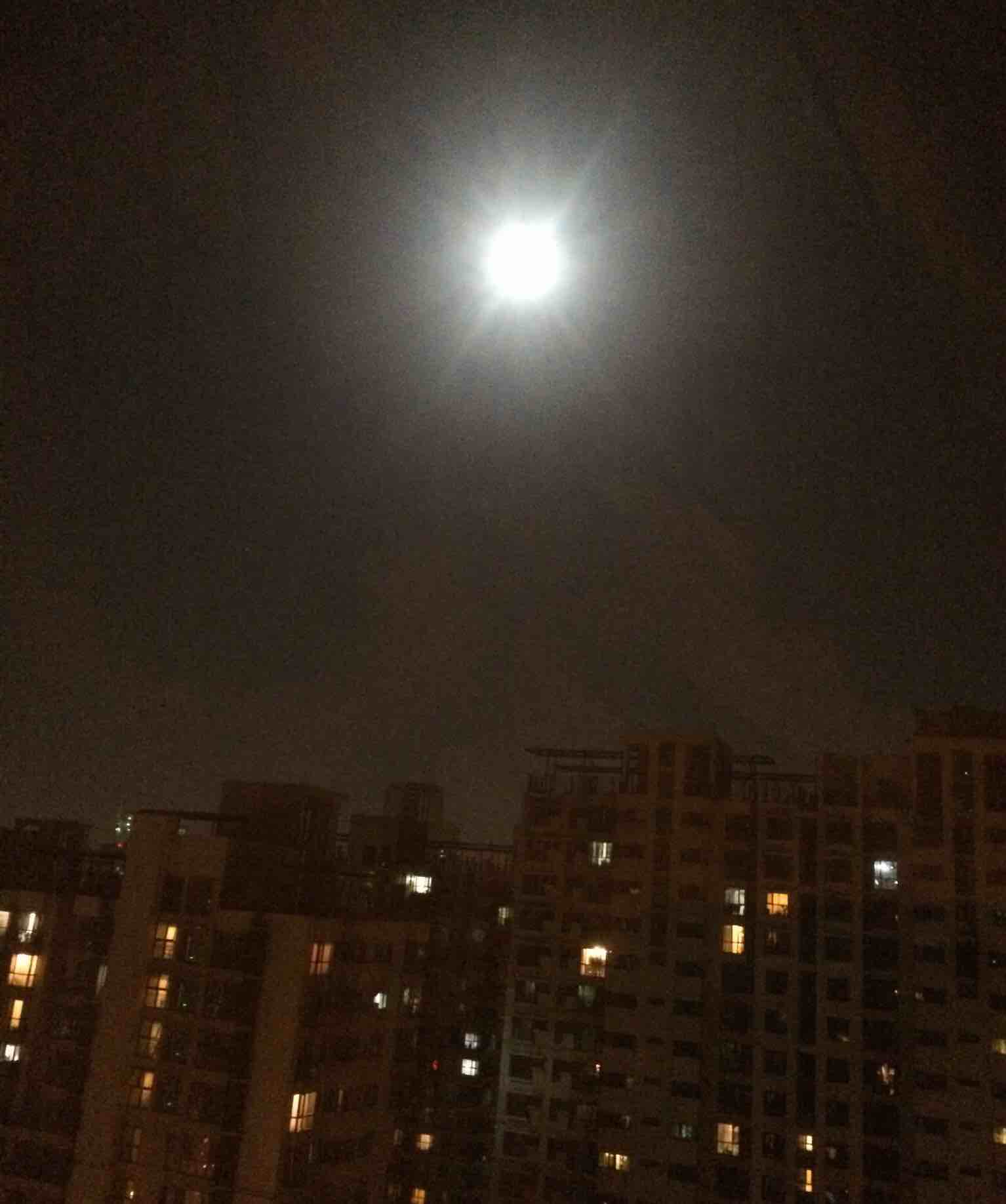 顾惜