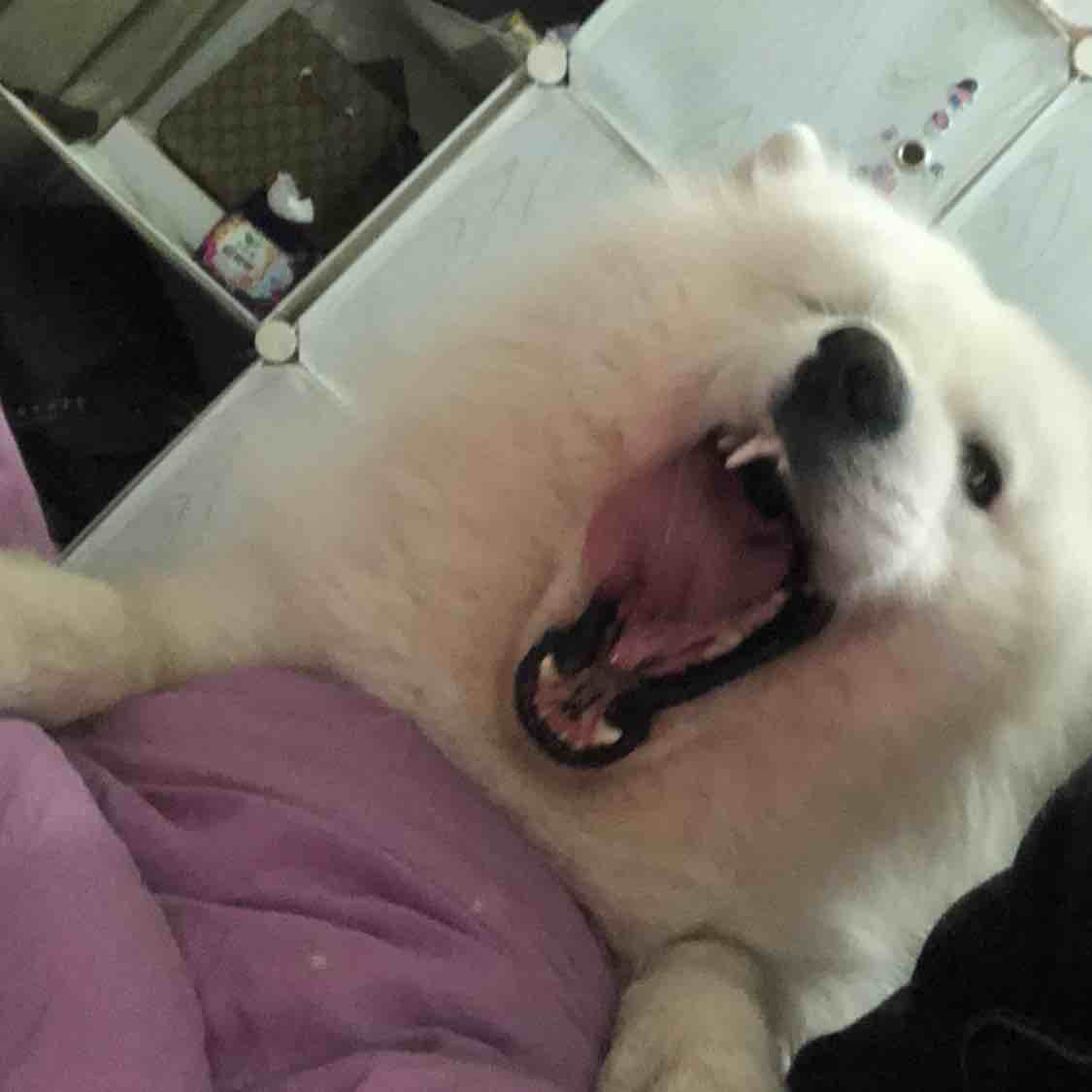 顺其自然