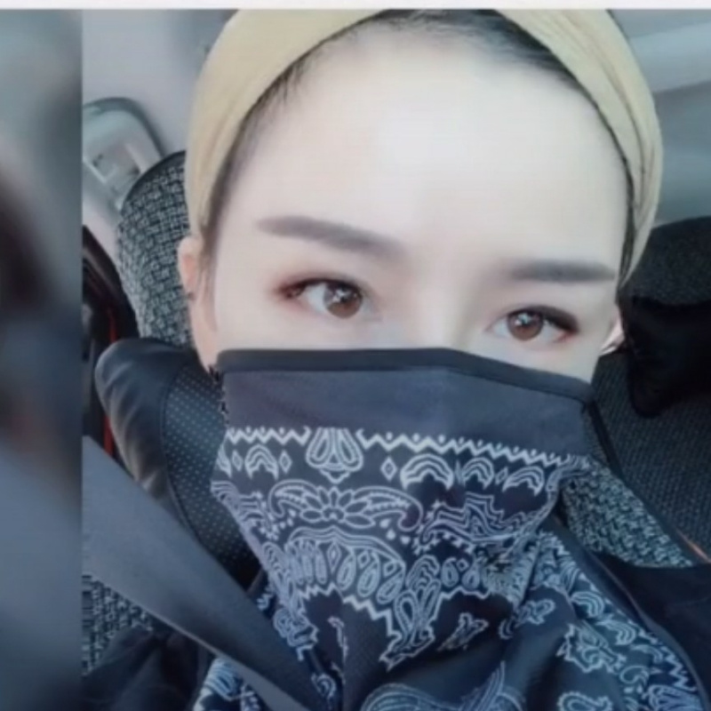樱桃树叶绿