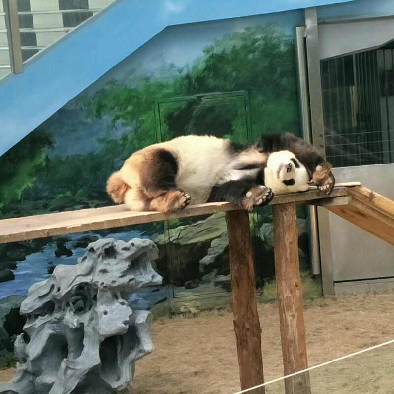 
《听书》吧☜