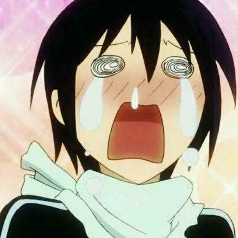 夙愿啊