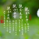坚强的蜗牛