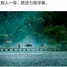 鹤