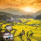 方小阳