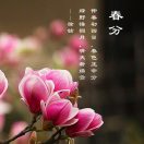 彼此珍惜