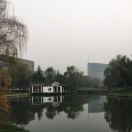 绿光