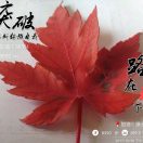 冰雨花