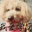  樂  
