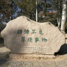 阳阳