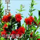 难得糊涂