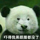 俊猛仙森