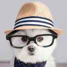 建筑维修，装修677125