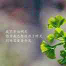 包容