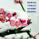 独钓寒江雪
