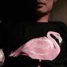 小高不喝可乐
