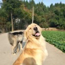 小田