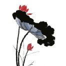 刘超