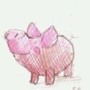 ice pig