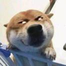 取个什么名呢