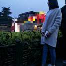 阳光不懂向日葵