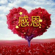 天天向上xzp
