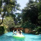 花落微凉梦清幽丶