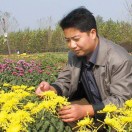 李民德(招商局驻黄巢故里第一书记)