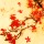 云月花影