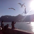 悟不空