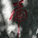 韩强