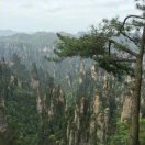 峰