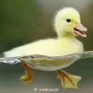 郭俞博