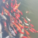健康无价