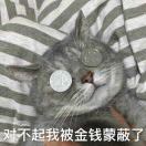 小兽