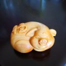 龙的传人