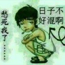 缘来似梦