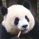 不是高手你不懂