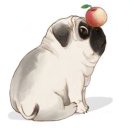 文艺小花