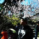 何慧宇